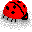 ladybird0b